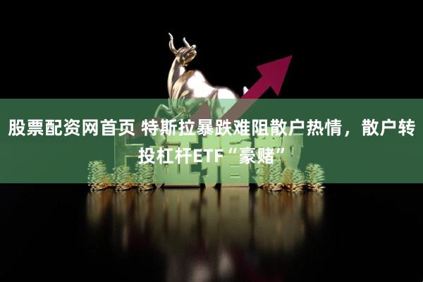 股票配资网首页 特斯拉暴跌难阻散户热情，散户转投杠杆ETF“豪赌”