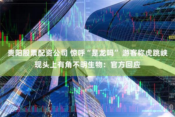贵阳股票配资公司 惊呼“是龙吗” 游客称虎跳峡现头上有角不明生物：官方回应